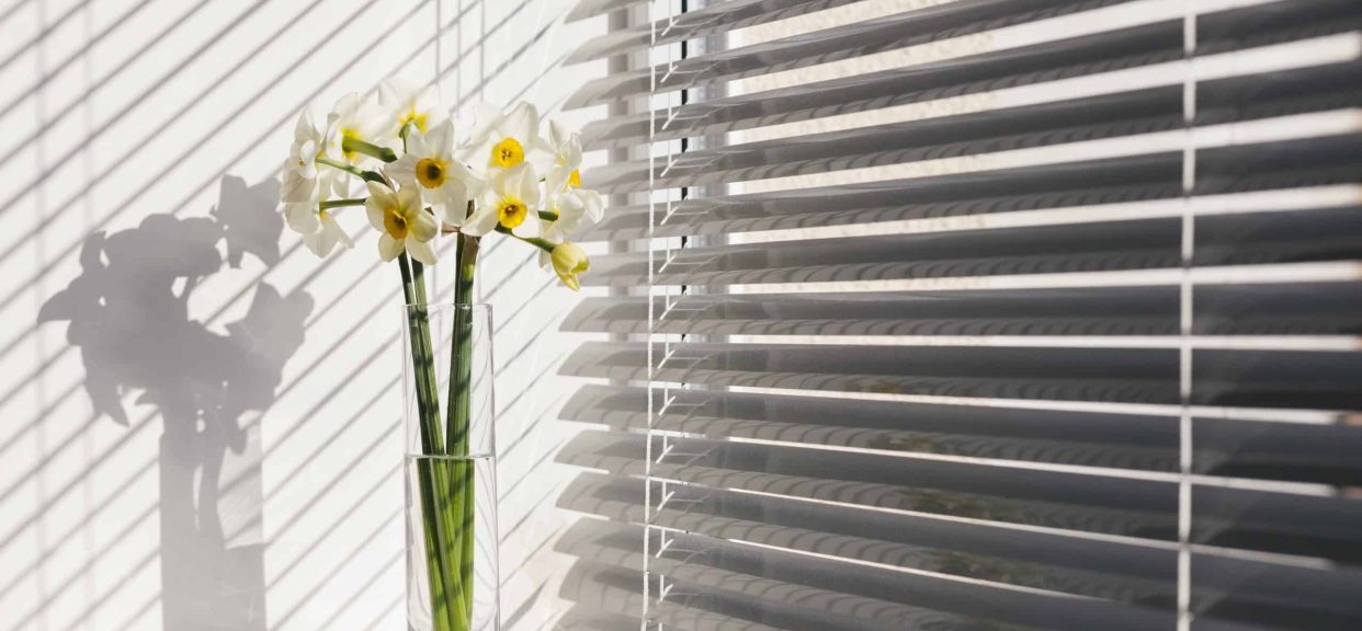 How to Choose Small Window Blinds