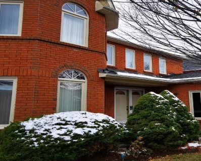 Red brick house with snowy shrubs.