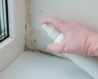 Several ways to get rid of black mold on windows