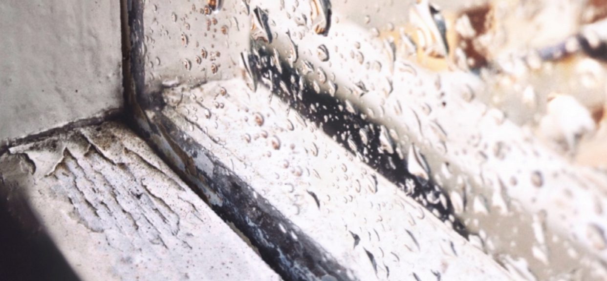 Combating Condensation on Windows: A Homeowner’s Guide